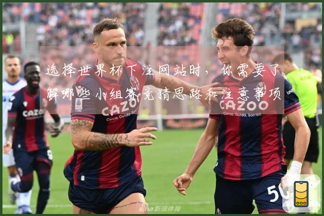 选择世界杯下注网站时，你需要了解哪些小组赛竞猜思路和注意事项？