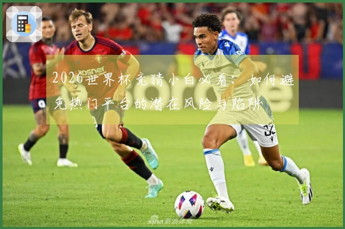 2026世界杯竞猜小白必看：如何避免热门平台的潜在风险与陷阱
