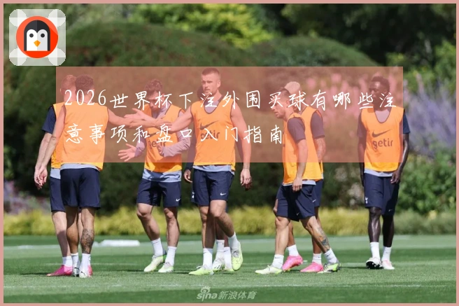 2026世界杯下注外围买球有哪些注意事项和盘口入门指南