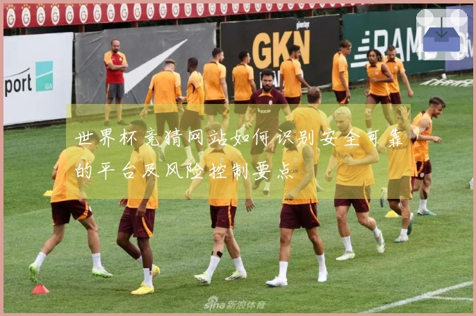 世界杯竞猜网站如何识别安全可靠的平台及风险控制要点