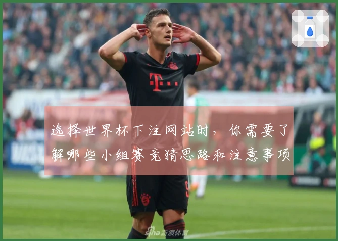 选择世界杯下注网站时，你需要了解哪些小组赛竞猜思路和注意事项？