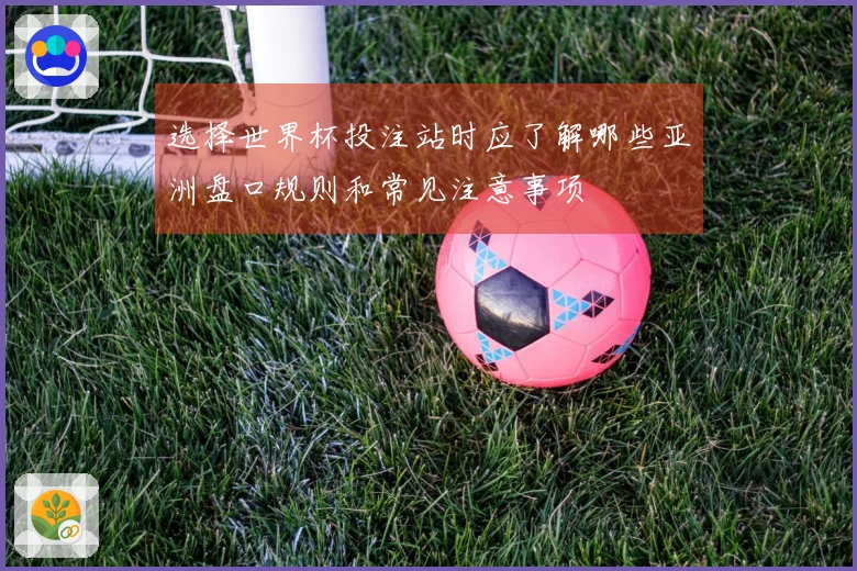 选择世界杯投注站时应了解哪些亚洲盘口规则和常见注意事项