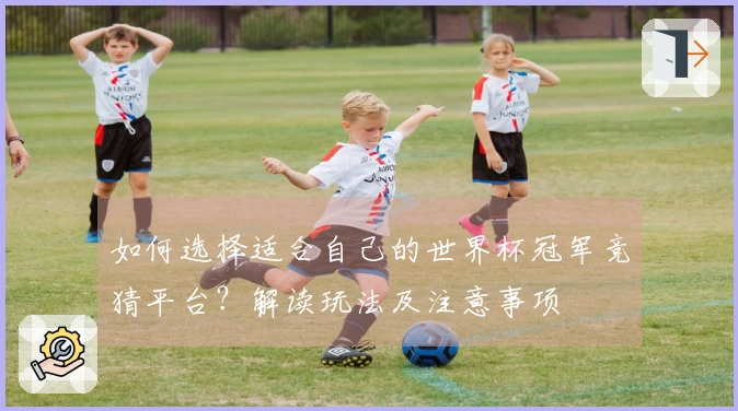 如何选择适合自己的世界杯冠军竞猜平台？解读玩法及注意事项