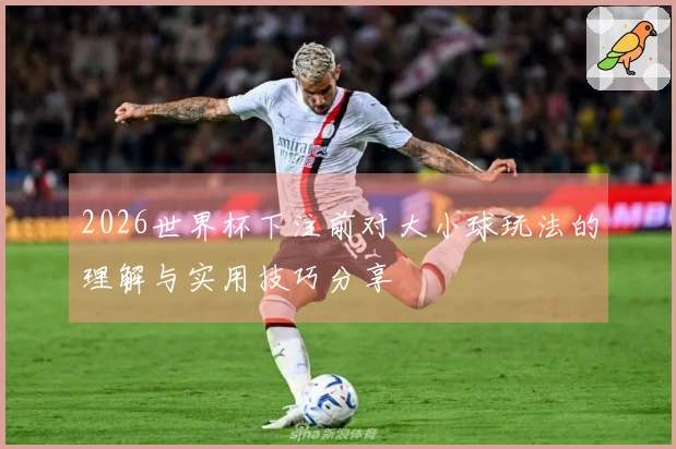 2026世界杯下注前对大小球玩法的理解与实用技巧分享