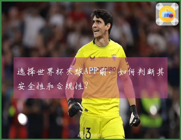 选择世界杯买球APP前，如何判断其安全性和合规性？