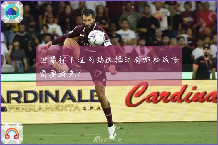世界杯下注网站选择时有哪些风险需要避免？
