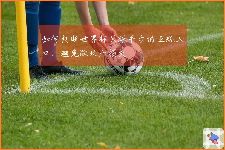 如何判断世界杯买球平台的正规入口，避免踩坑和损失
