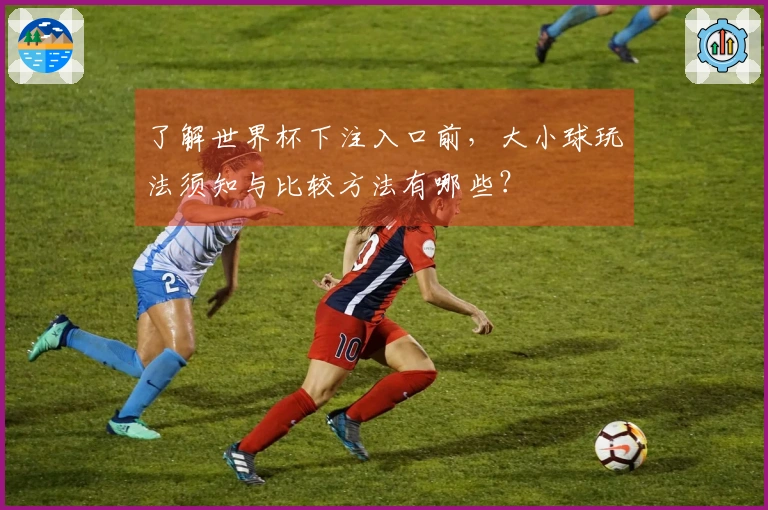 了解世界杯下注入口前，大小球玩法须知与比较方法有哪些？