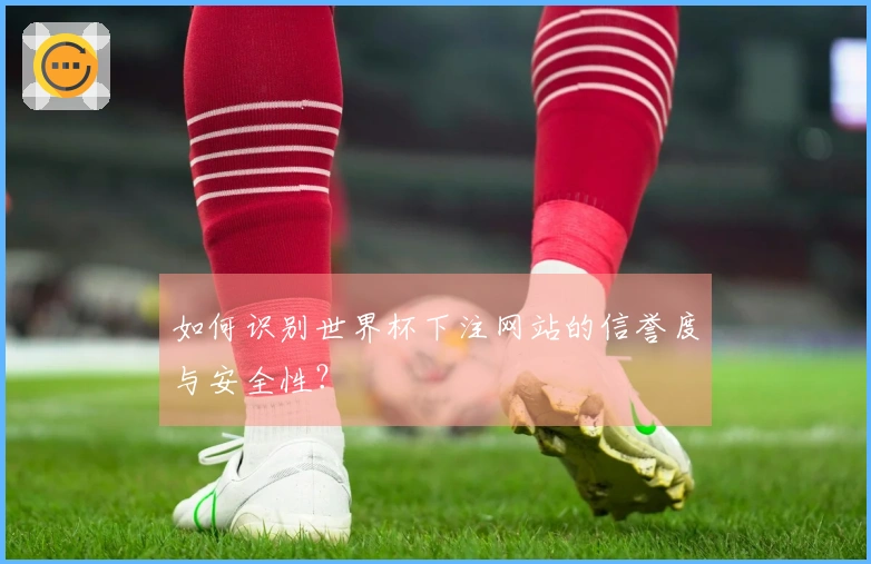 如何识别世界杯下注网站的信誉度与安全性？