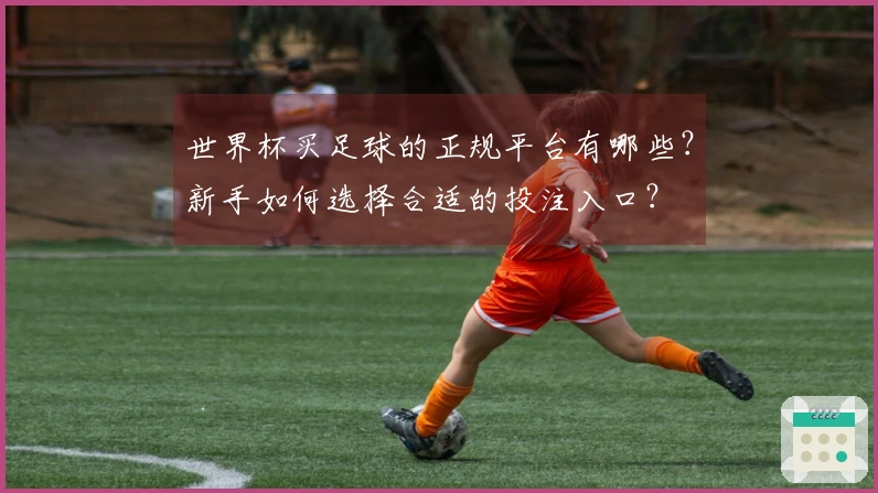 世界杯买足球的正规平台有哪些？新手如何选择合适的投注入口？