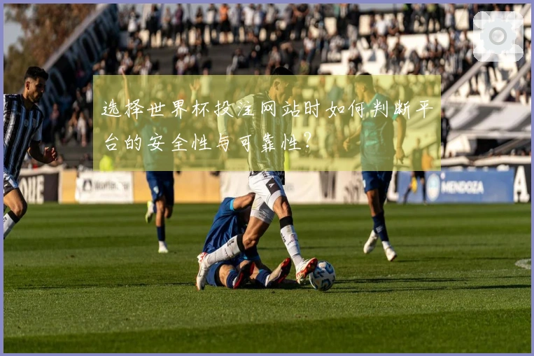 选择世界杯投注网站时如何判断平台的安全性与可靠性？