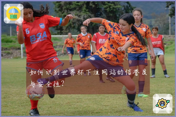 如何识别世界杯下注网站的信誉度与安全性？