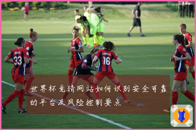 世界杯竞猜网站如何识别安全可靠的平台及风险控制要点