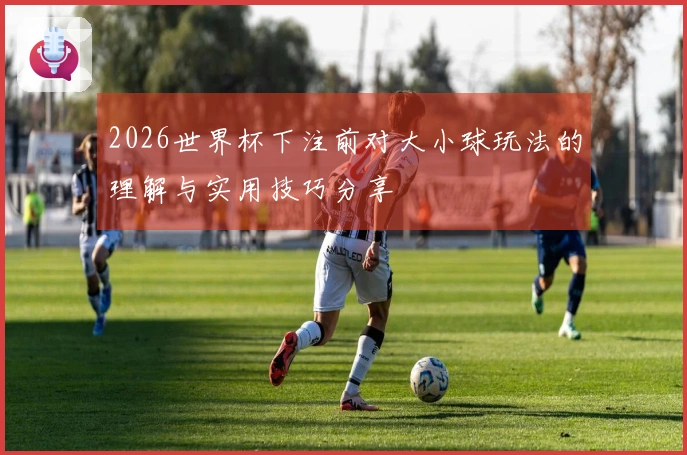 2026世界杯下注前对大小球玩法的理解与实用技巧分享