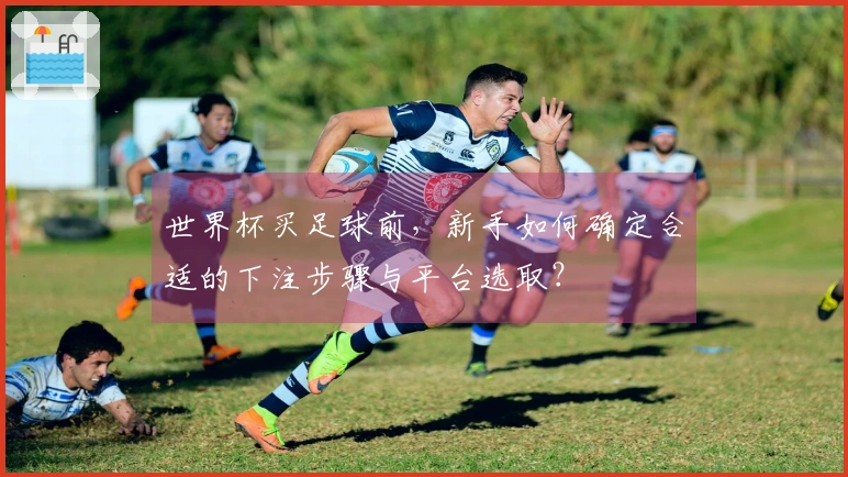 世界杯买足球前，新手如何确定合适的下注步骤与平台选取？