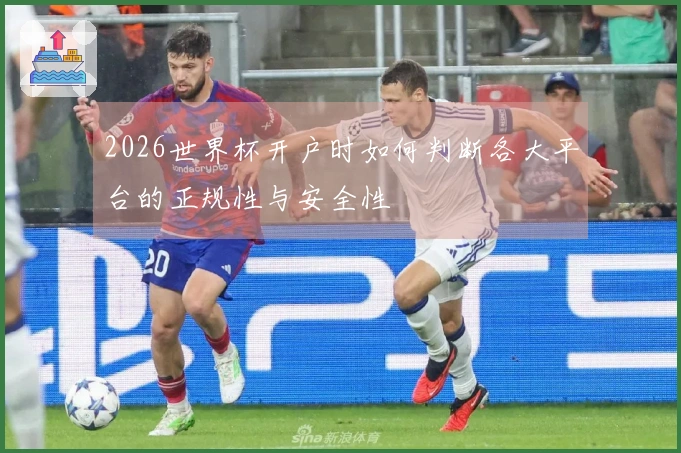 2026世界杯开户时如何判断各大平台的正规性与安全性